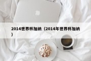 2014世界杯加纳（2014年世界杯加纳）