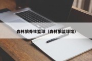 森林狼养生篮球（森林狼篮球馆）