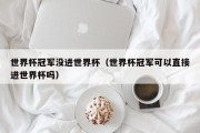 世界杯冠军没进世界杯（世界杯冠军可以直接进世界杯吗）