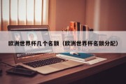 欧洲世界杯几个名额（欧洲世界杯名额分配）